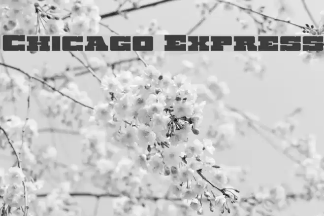 Chicago Express Font examples