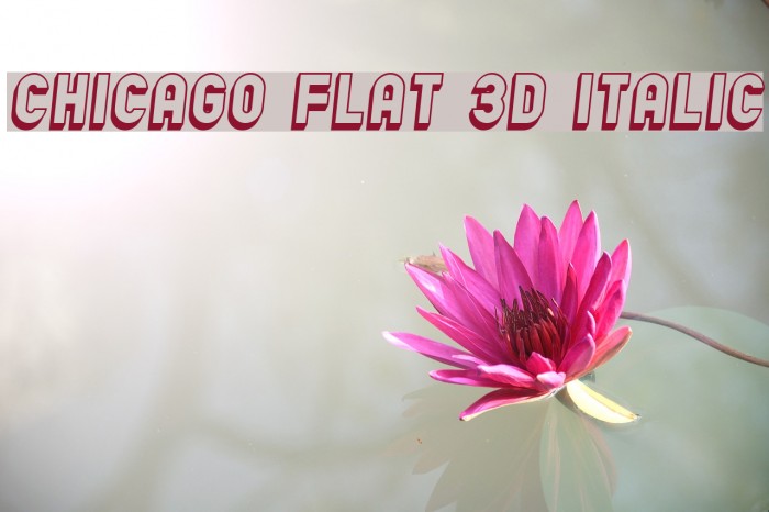 Chicago Flat 3D Italic Font examples