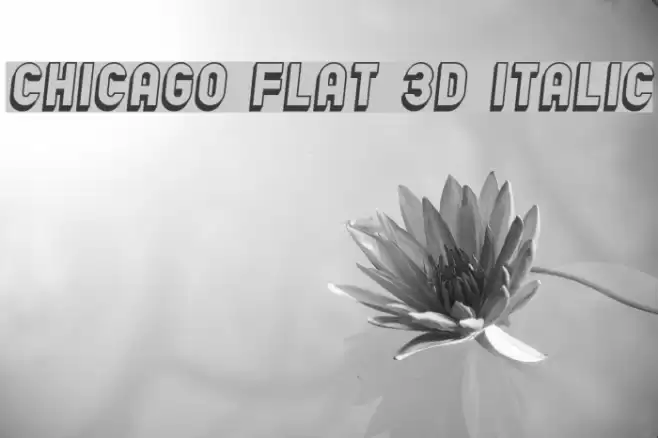 Chicago Flat 3D Italic Font examples