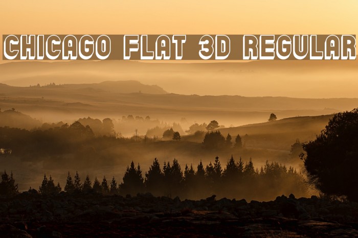 Chicago Flat 3D Regular Font examples