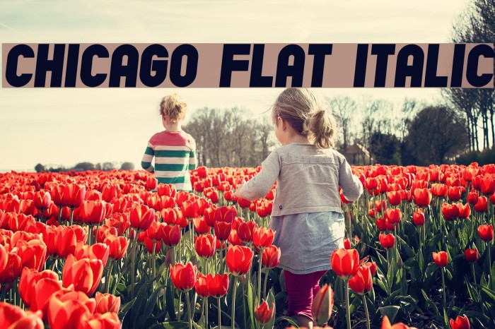 Chicago Flat Italic Font examples