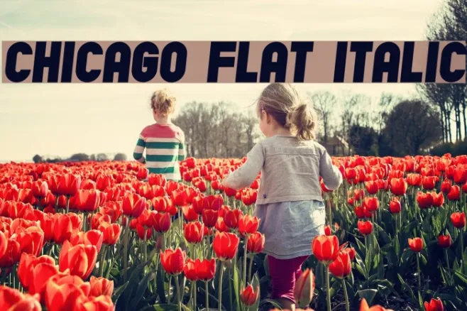 Chicago Flat Italic Example 1