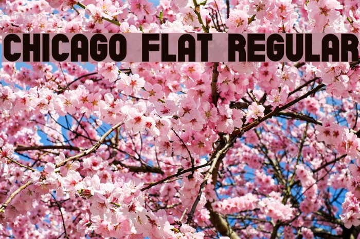 Chicago Flat Regular Font examples