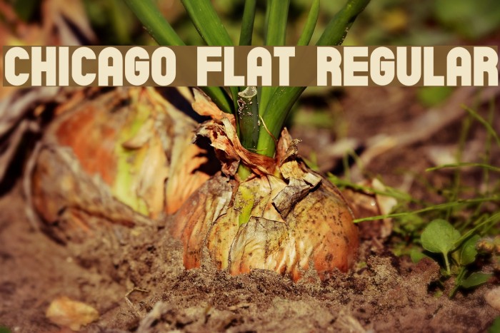 Chicago Flat Regular Font examples