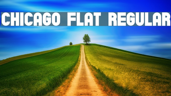 Chicago Flat Regular Font examples