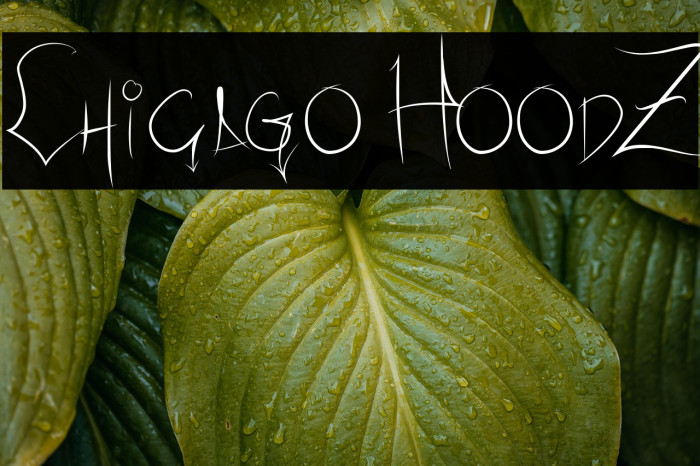 Chicago HoodZ Example 2