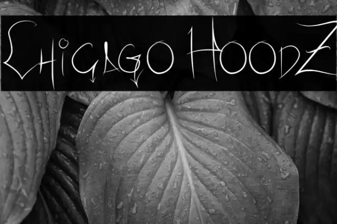 Chicago HoodZ Font examples