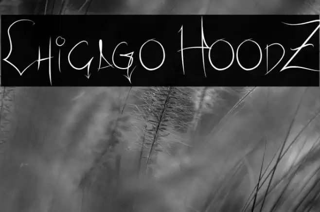 Chicago HoodZ Font examples