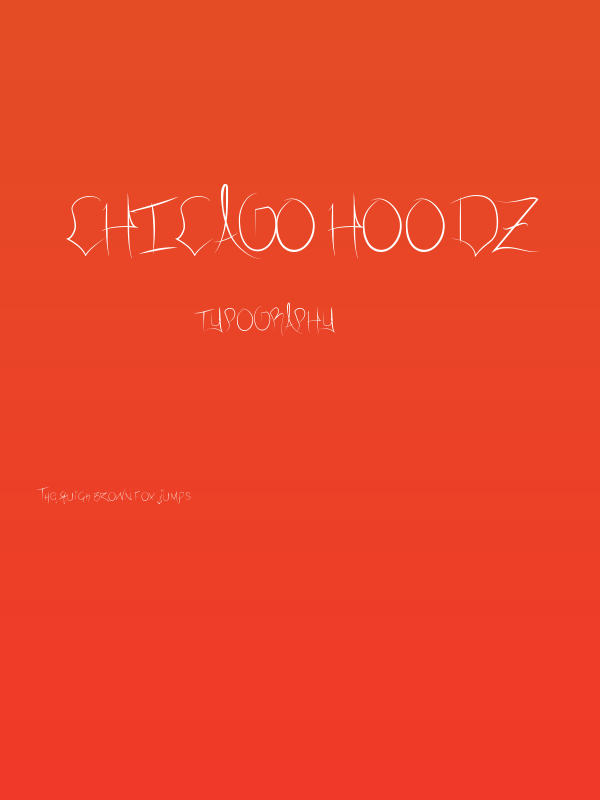 Chicago HoodZ Poster