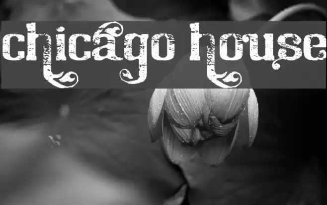 Chicago House Font examples