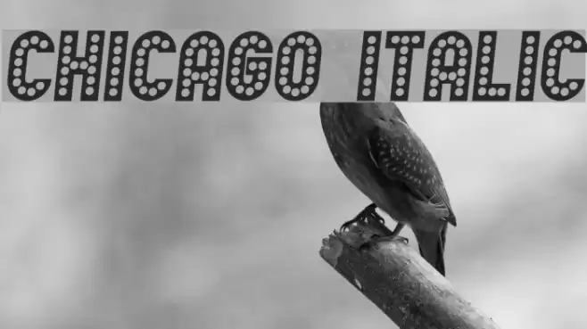 Chicago Italic Font examples