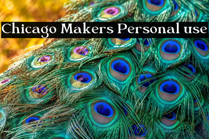 Chicago Makers Personal use Example 2