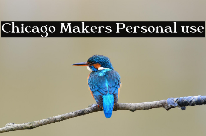 Chicago Makers Personal use Example 3