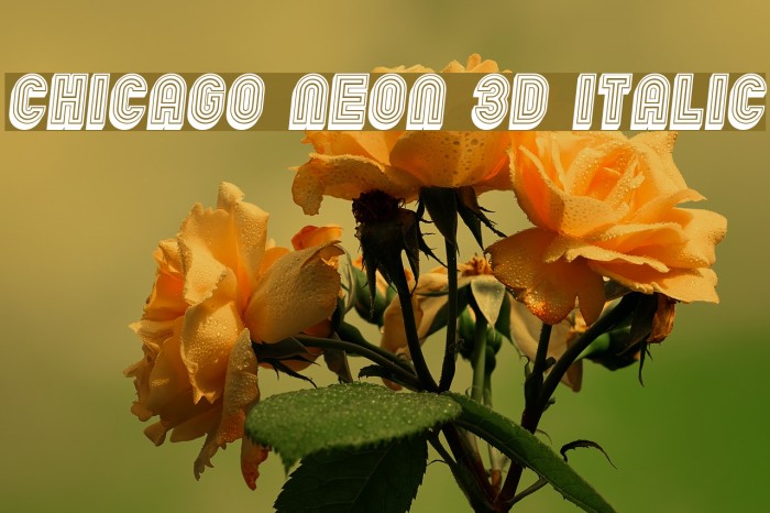 Chicago Neon 3D Italic Font examples
