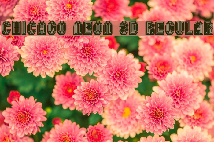 Chicago Neon 3D Regular Font examples
