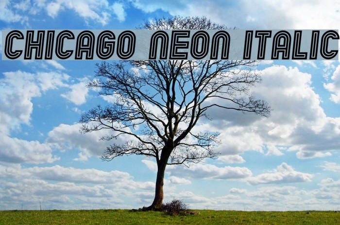 Chicago Neon Italic Example 2