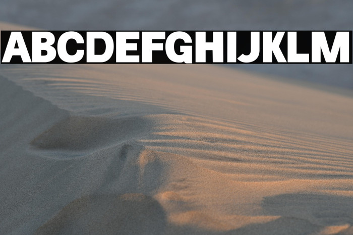 Chicago Police Example 2