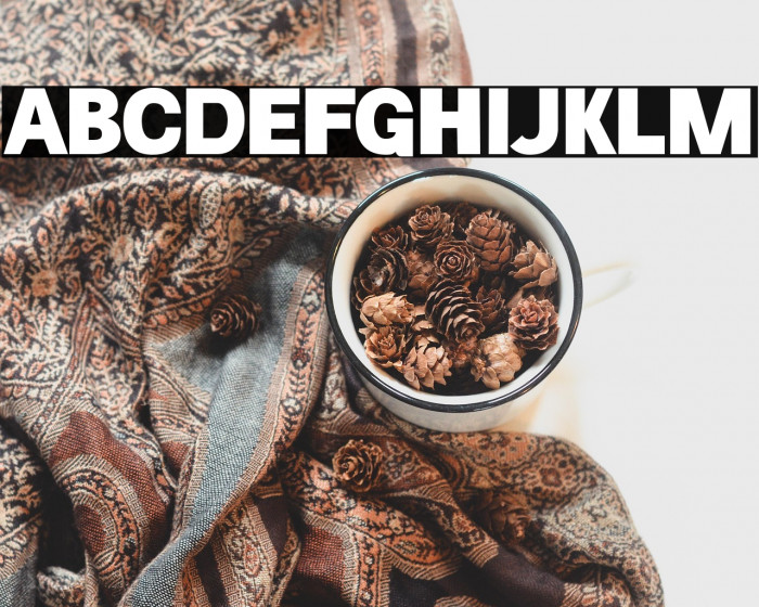 Chicago Police Example 3