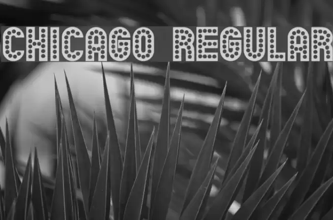 Chicago Regular Font examples