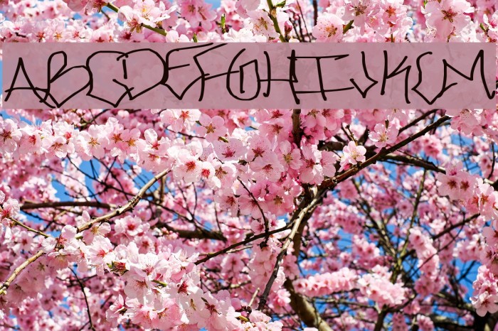 ChicagoHoodZZ Example 3