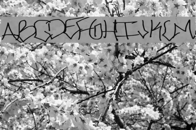 ChicagoHoodZZ Font examples