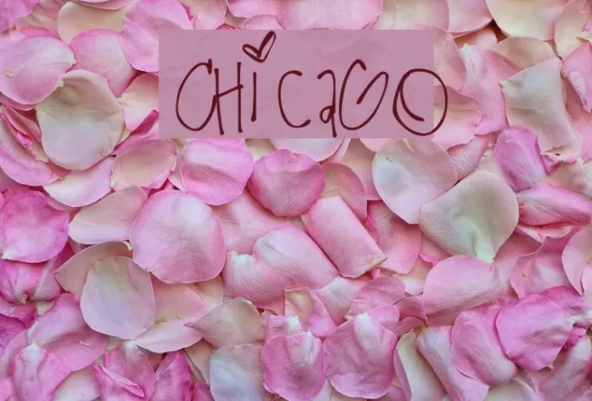 Chicago Example 3