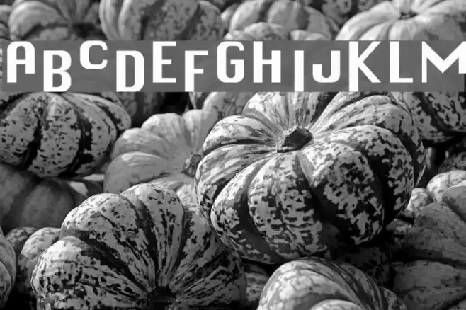 Chicagogo Font examples