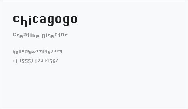 Chicagogo Business Card
