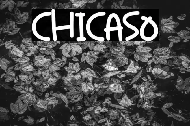 Chicaso Fuentes examples