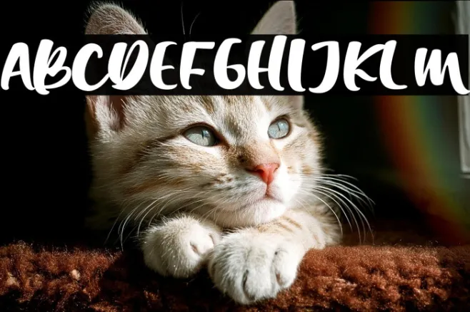 Chick Chack Example 1