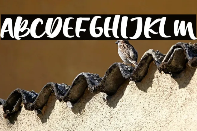 Chick Chack Example 2