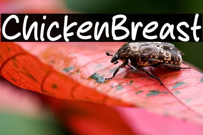 Chicken Breast Example 3