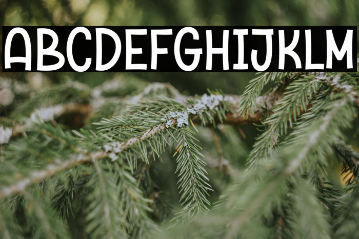 Chicken Broth Demo Example 1