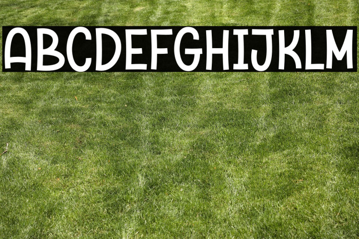 Chicken Broth Demo Example 2