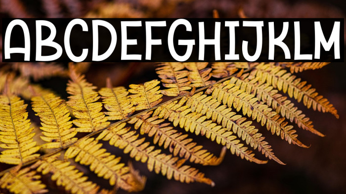 Chicken Broth Demo Example 3