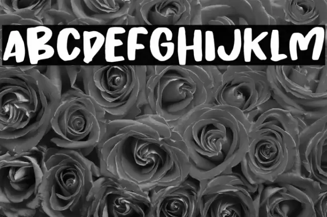 Chicken Crispy Font examples