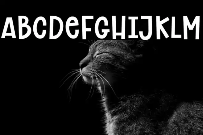 Chicken Dinner Font examples