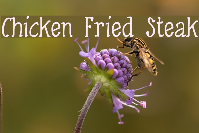 Chicken Fried Steak Font examples