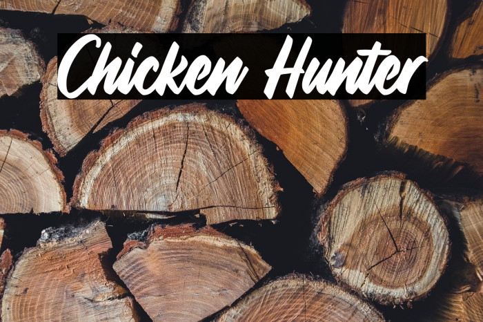 Chicken Hunter Example 2