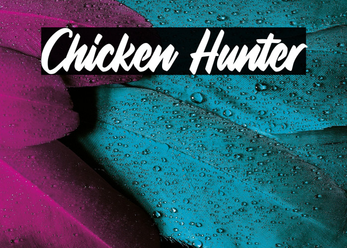 Chicken Hunter Example 3