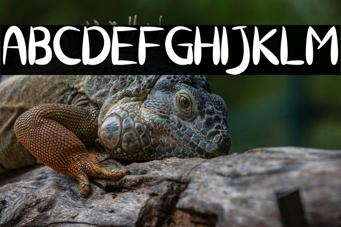 Chicken Katsu Example 2