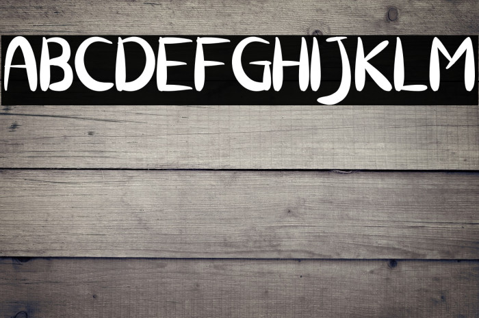 Chicken Katsu Example 3