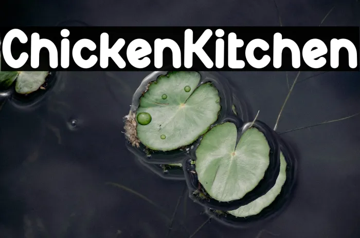 Chicken Kitchen Example 3