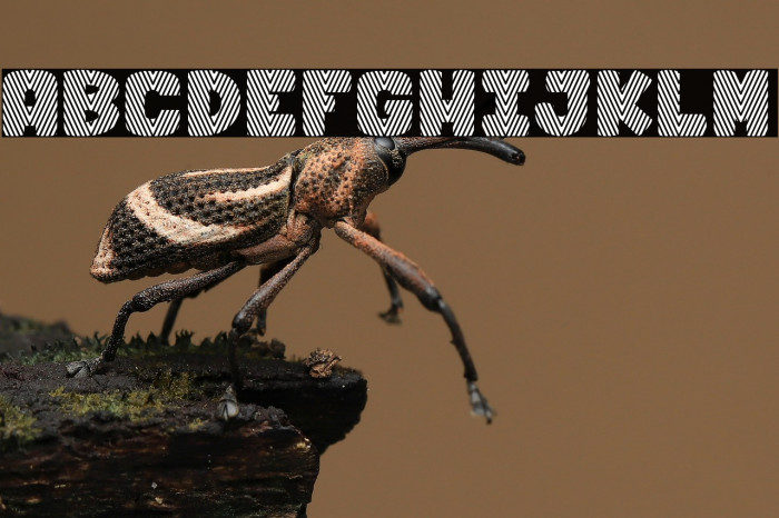 Chicken Pot Pie_PersonalUseOnly Example 3