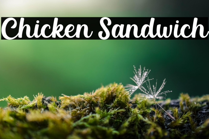Chicken Sandwich Example 2