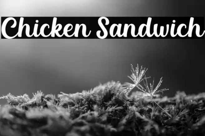 Chicken Sandwich Font examples