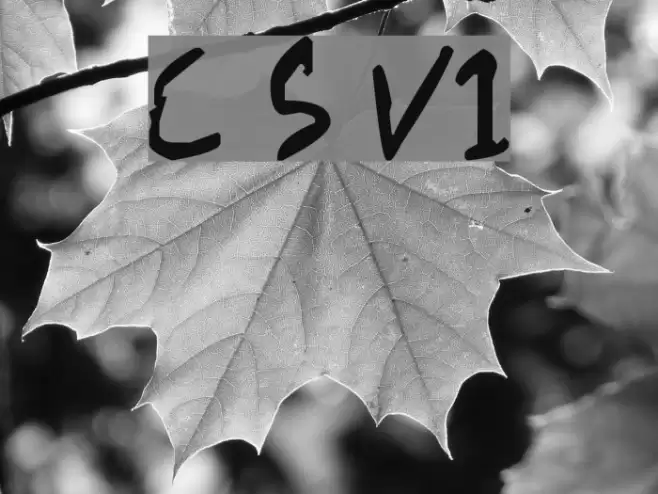 Chicken Scratch V1 Font examples