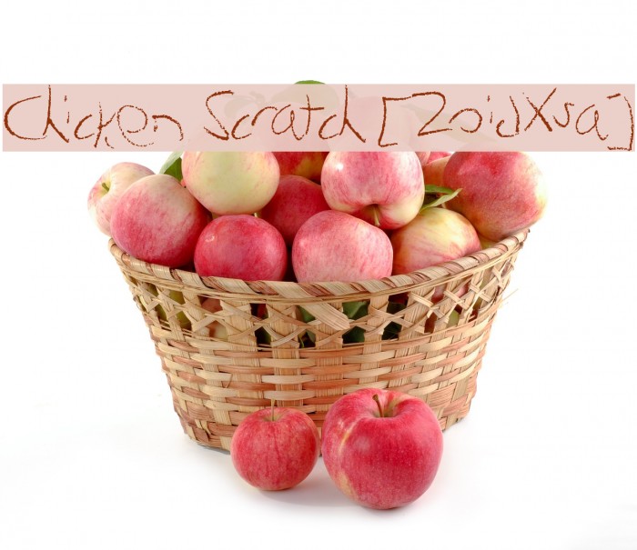 Chicken Scratch [ZoidXsa] Example 3