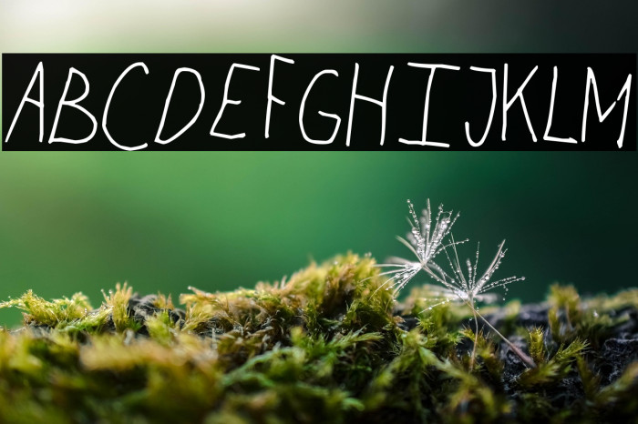 Chicken Scratch Example 3