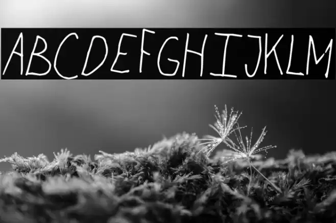 Chicken Scratch Font examples